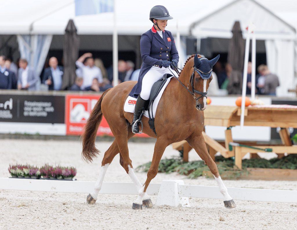 Gemma Stevens begon met Chilli Morning ijzersterk aan de 55ste editie van Military Boekelo-Enschede. Foto's © Ashley Claus.