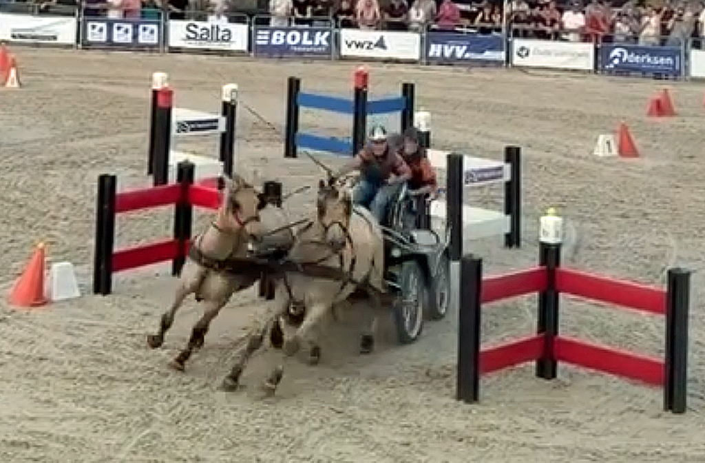 Marijke Hammink met haar tweespan paarden.