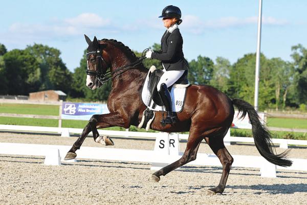 Joyce Vegter met Lincoln DC en foto's hieronder © Marjon Hoen.