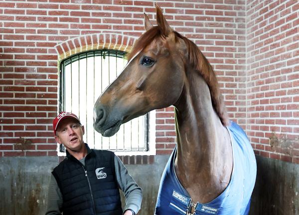 Nathan Greftenhuis op stal bij de BWG Stables.
