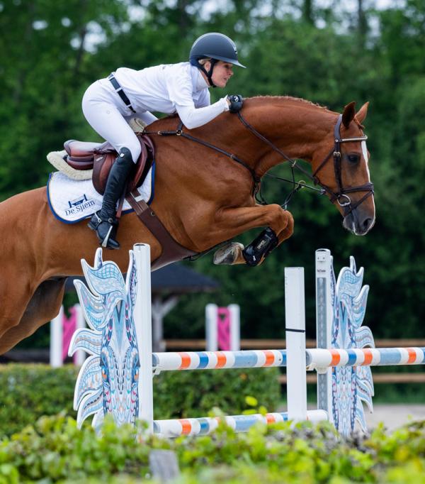 Rasputin RM en Conny Lover SV (onder) bleken de toppers van de veiling. Foto's © Carolien Kortman.