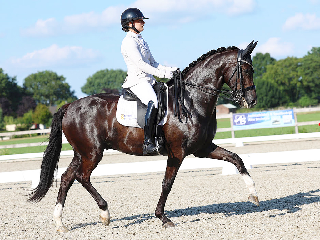Foto Ashley Langevoort met Novell Vurona. 