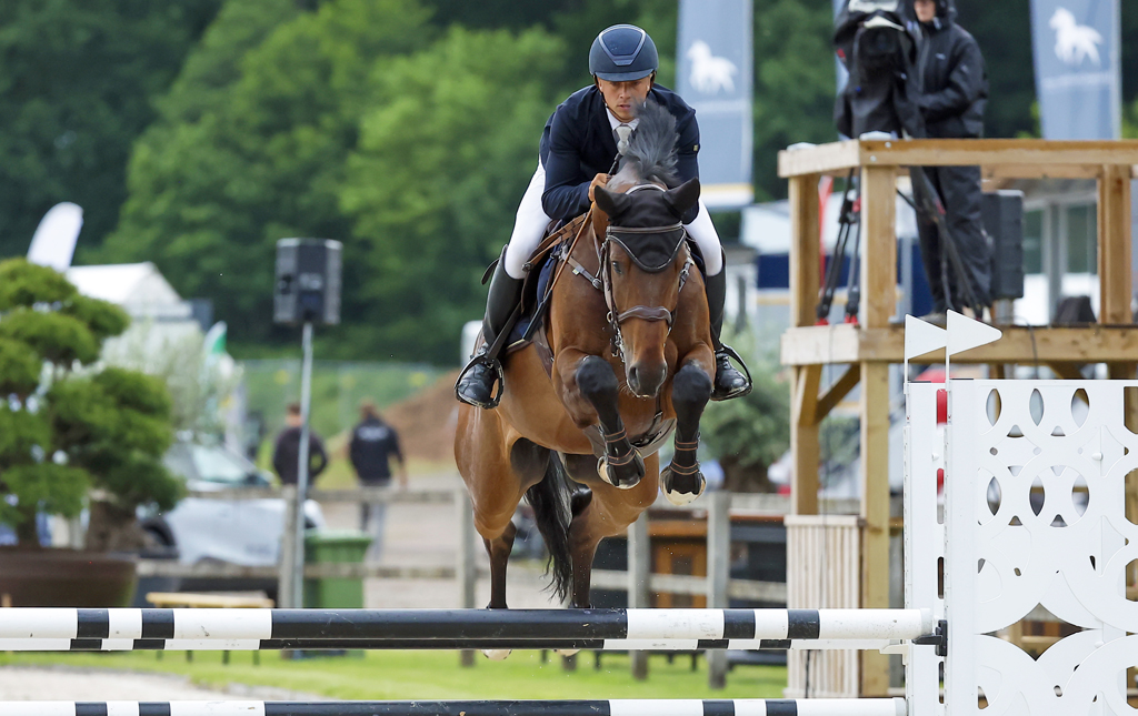Foto Jordy Wilken met Endever van de Moervelden Z © Fototrailer
