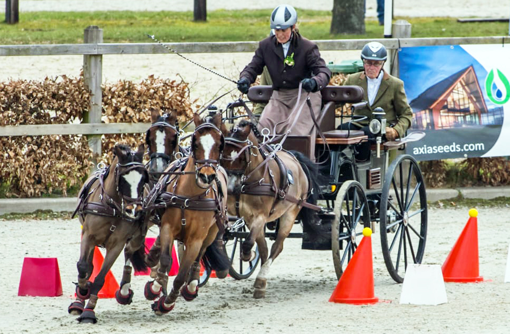 Marrijke Hammink met haar vierspan pony's. Foto © Wilco van Driessen.