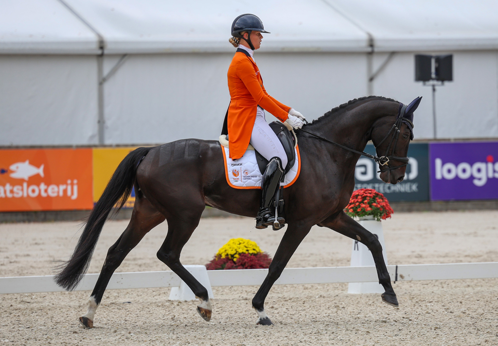 Sterre van Houte met Crossborder Radar Lover tijdens de dressuurDese foto en die hieronder © Ashley Claus. 