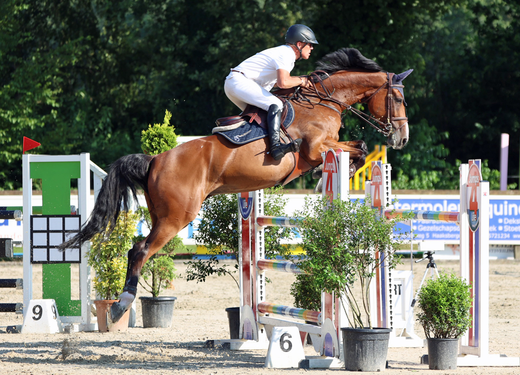 Steven Veldhuis met Claim the Fame. Foto © HT.