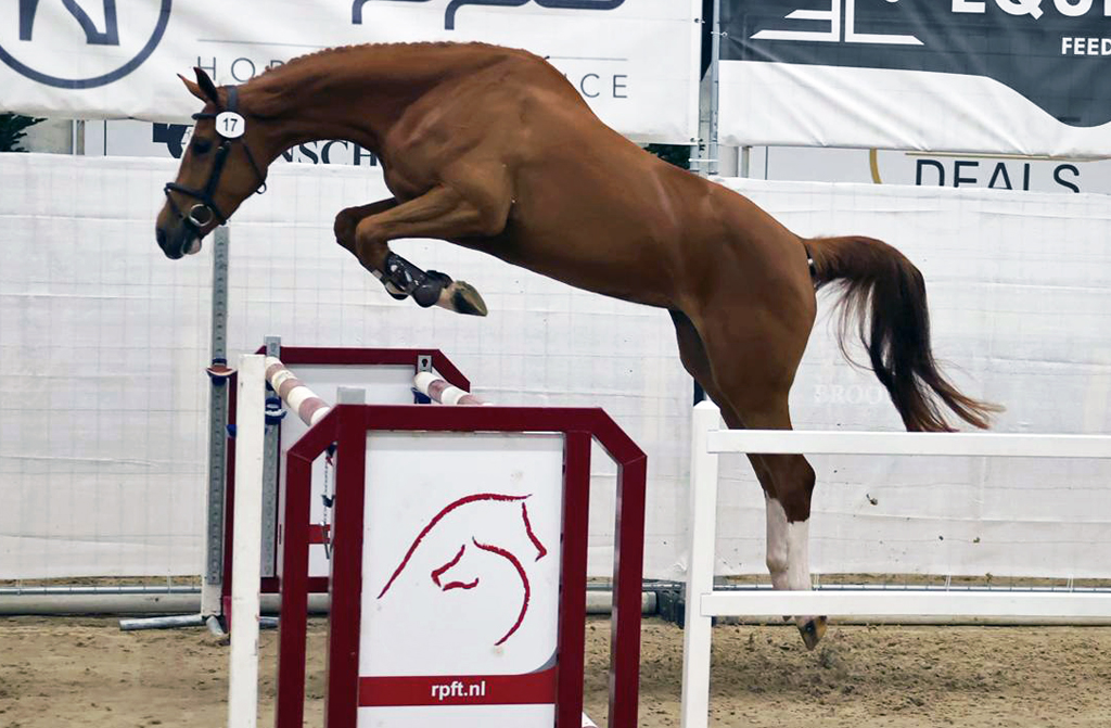 Algeheel winnaresTadessa. Foto en die hieronder © Jeffrey Nijhuis. 